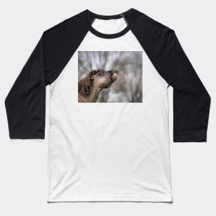 Flehming Baseball T-Shirt